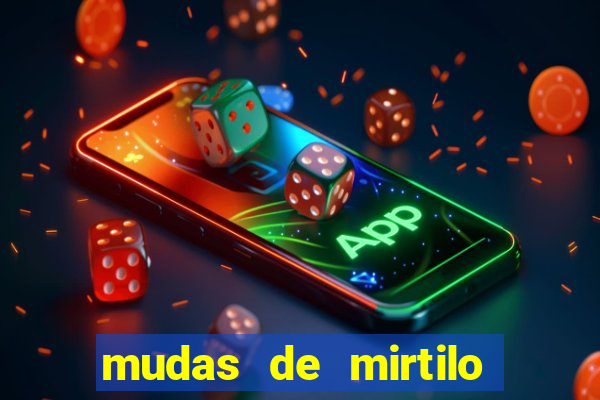 mudas de mirtilo em porto alegre